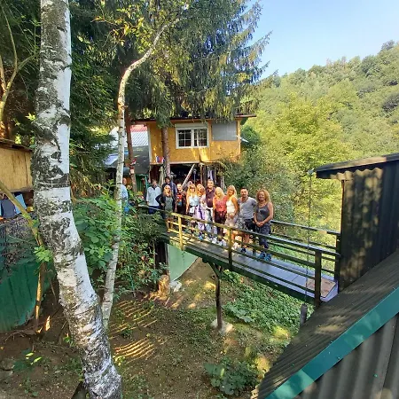 Tree House Апартаменты