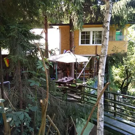 Tree House Visoko