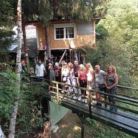 Tree House Апартаменты Високо