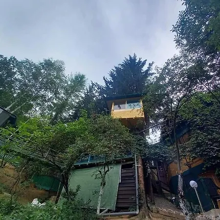 Apartment Tree House Visoko