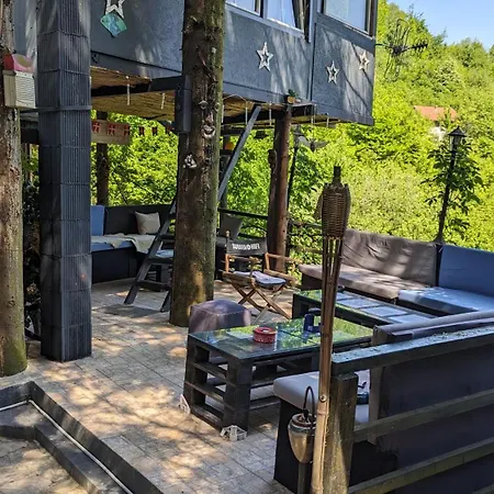 Apartman Tree House